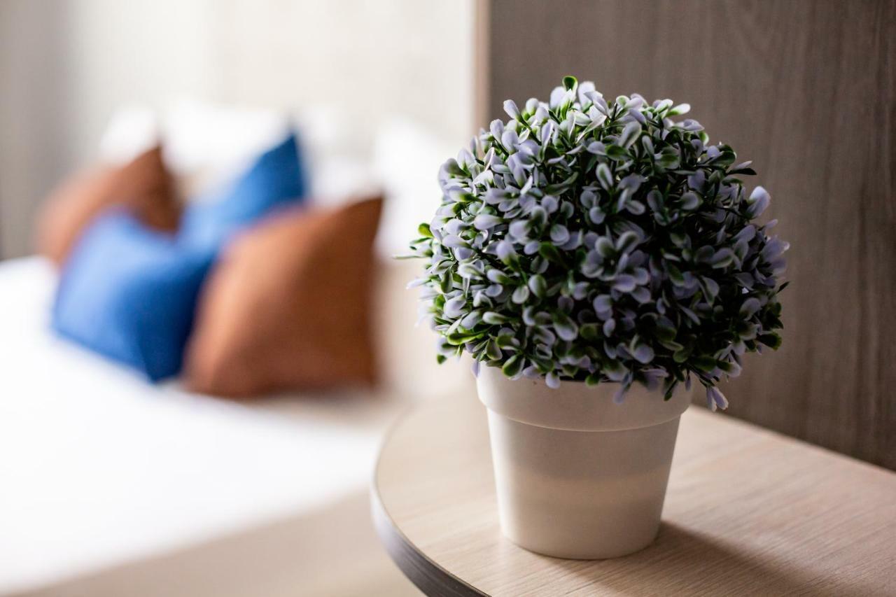 Alfa Apartments Kniazia Romana 11 리비프 외부 사진